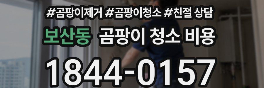 보산동 곰팡이 청소 비용