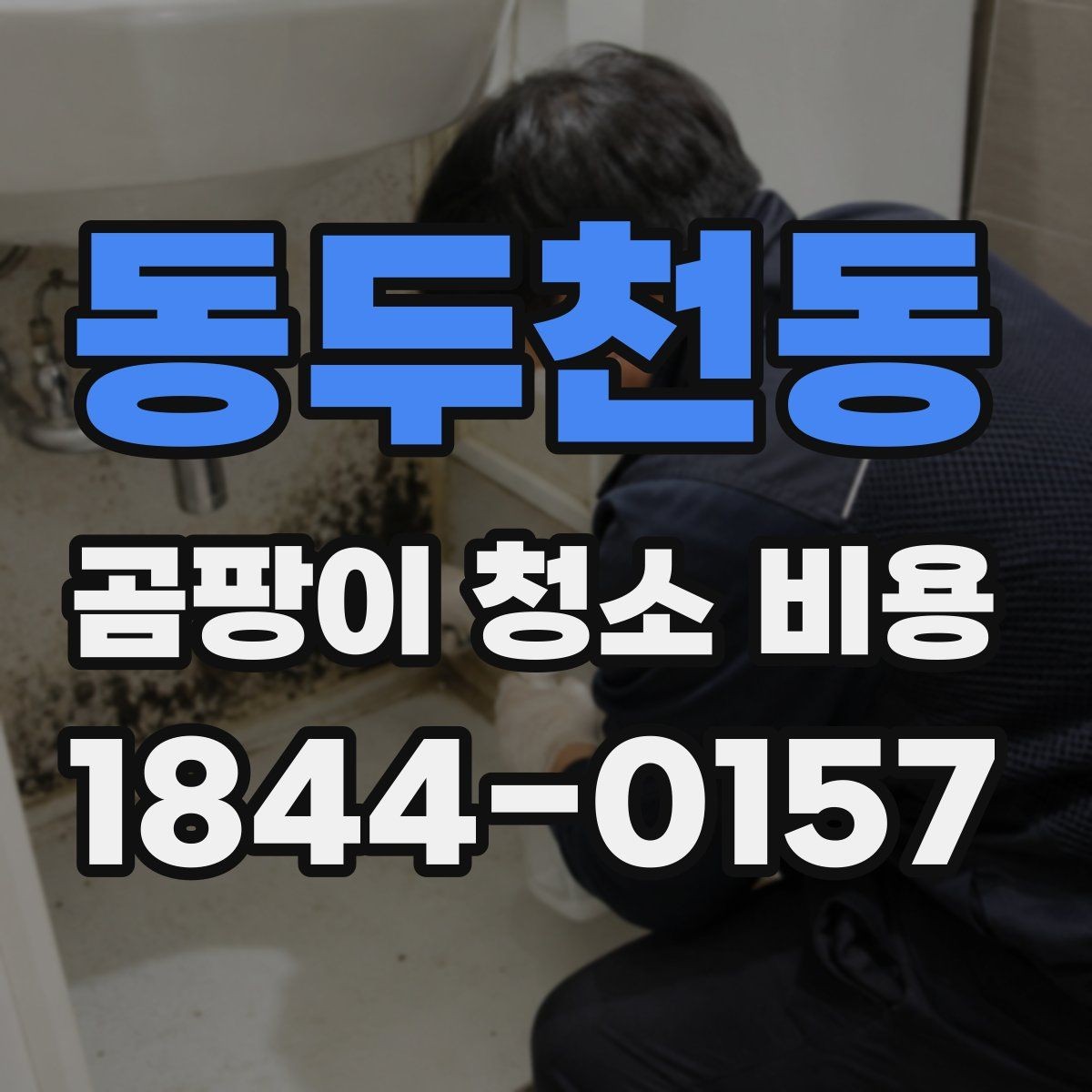 동두천동 곰팡이 청소 비용 문의 전 공간 상태 점검 요령