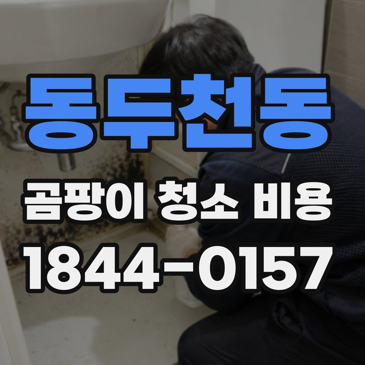 동두천동 곰팡이 청소 비용