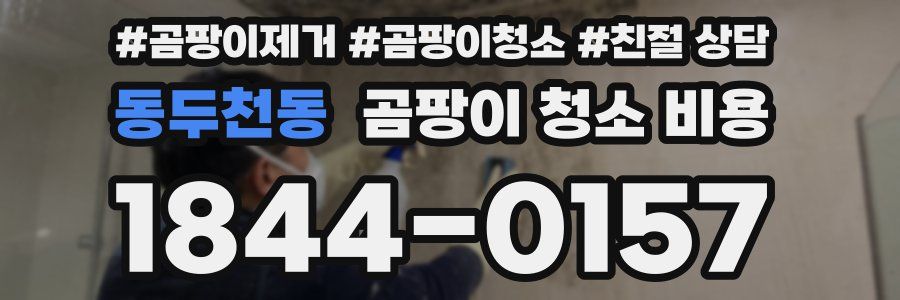 동두천동 곰팡이 청소 비용