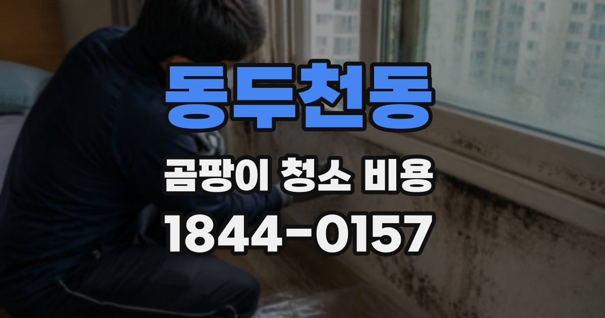 동두천동 곰팡이 청소 비용