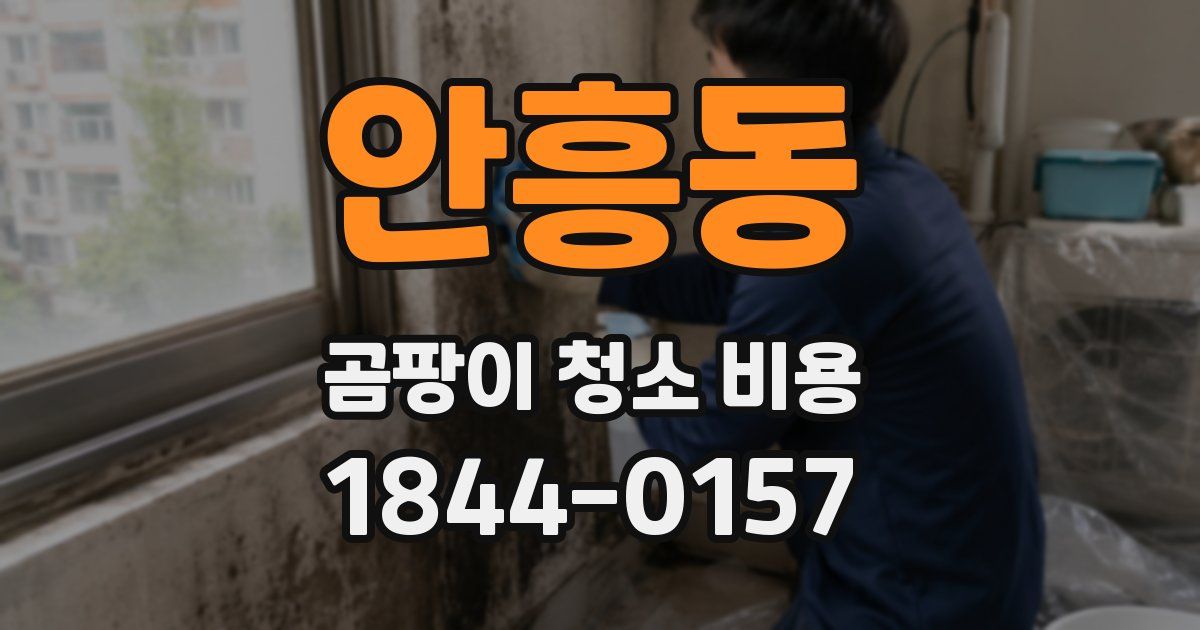 안흥동 곰팡이 청소 비용