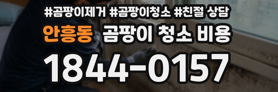 안흥동 곰팡이 청소 비용