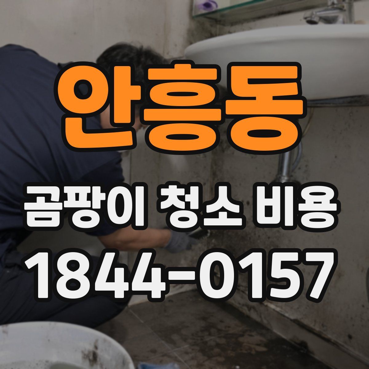 안흥동 곰팡이 청소 비용