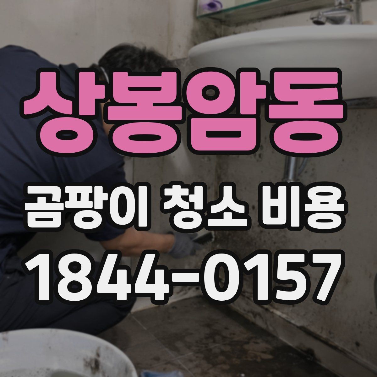 상봉암동 곰팡이 청소 비용 비교 시 꼭 확인할 서비스 범위