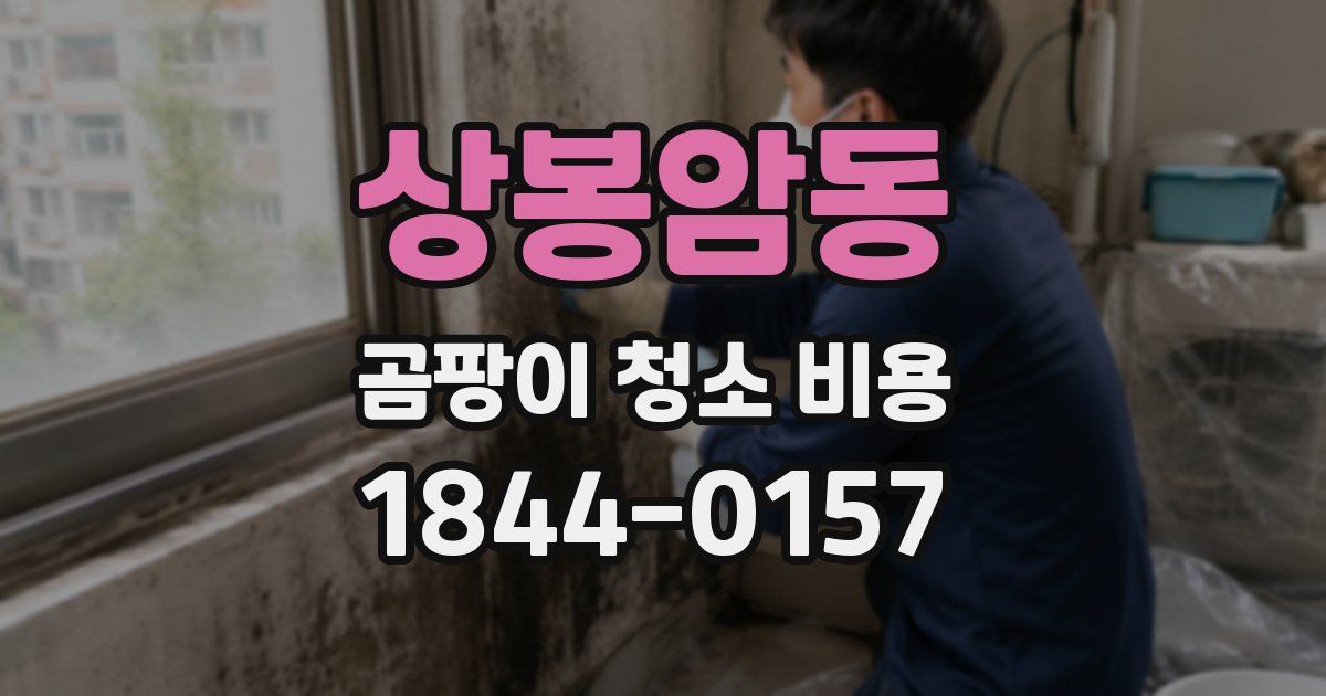 상봉암동 곰팡이 청소 비용