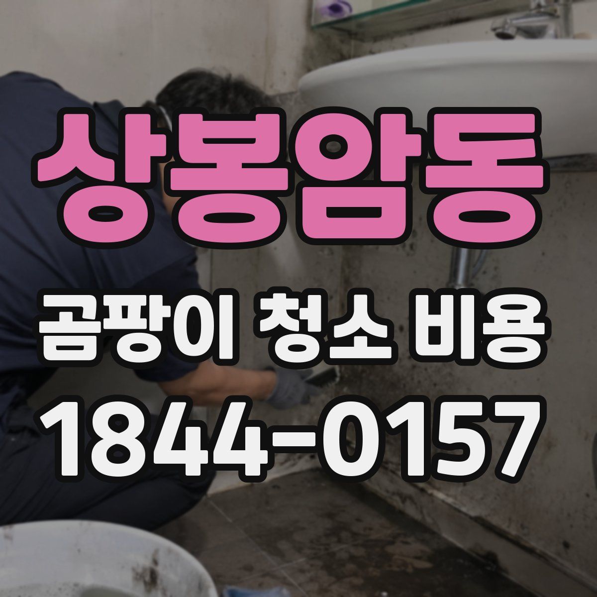 상봉암동 곰팡이 청소 비용
