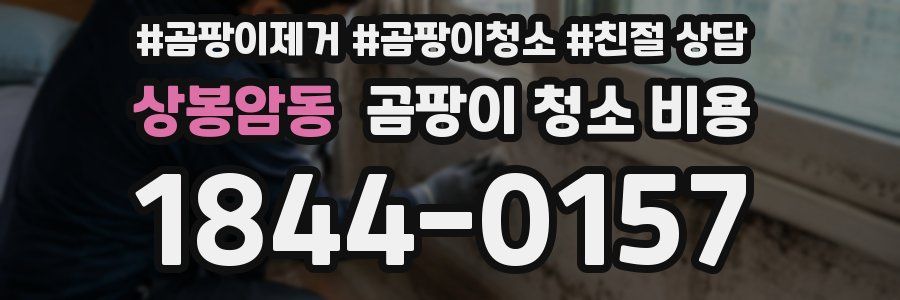 상봉암동 곰팡이 청소 비용