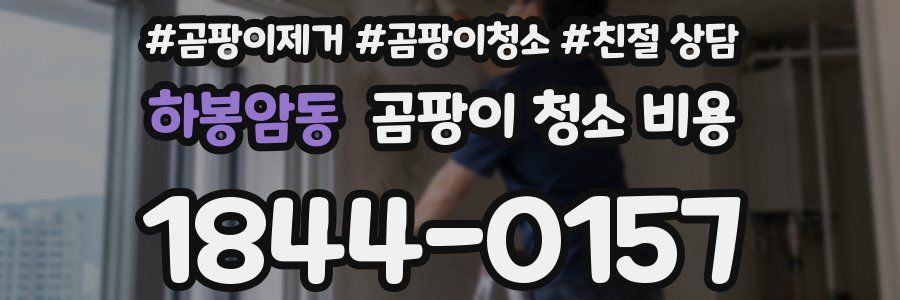하봉암동 곰팡이 청소 비용