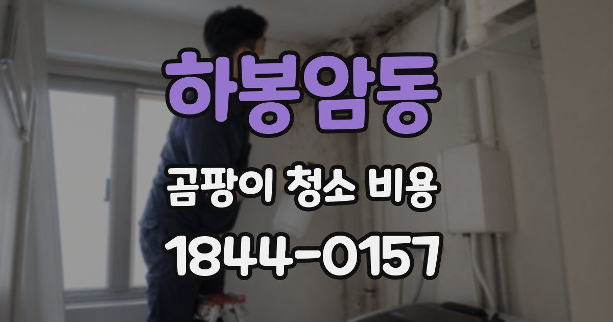 하봉암동 곰팡이 청소 비용