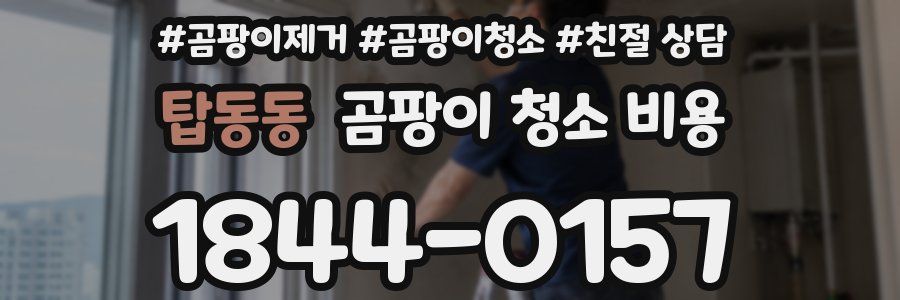 탑동동 곰팡이 청소 비용