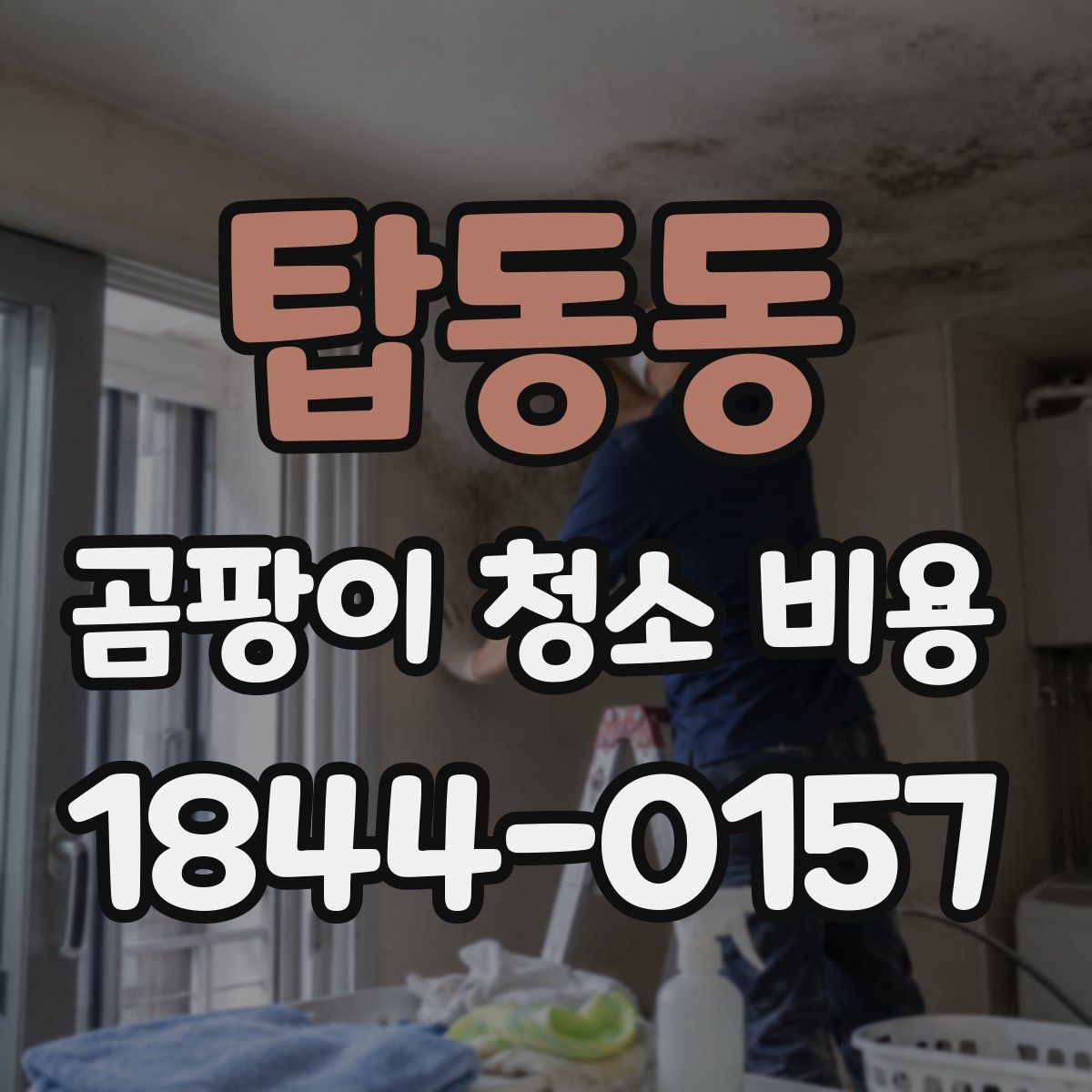 탑동동 곰팡이 청소 비용