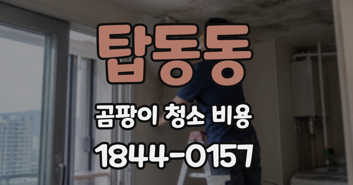 탑동동 곰팡이 청소 비용