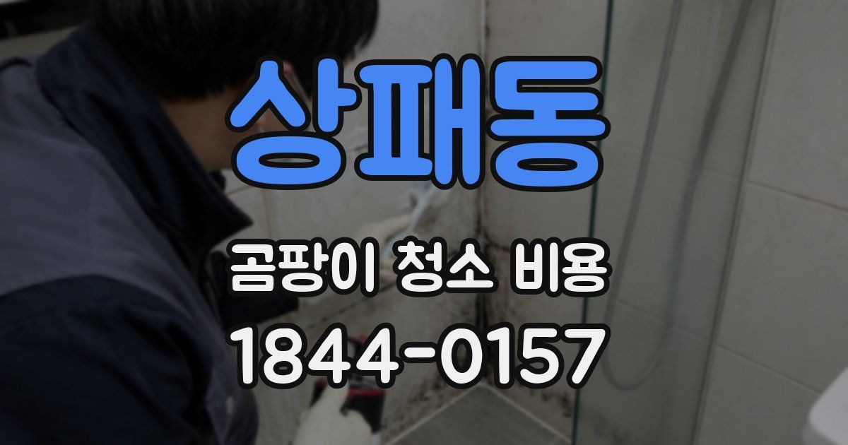 상패동 곰팡이 청소 비용