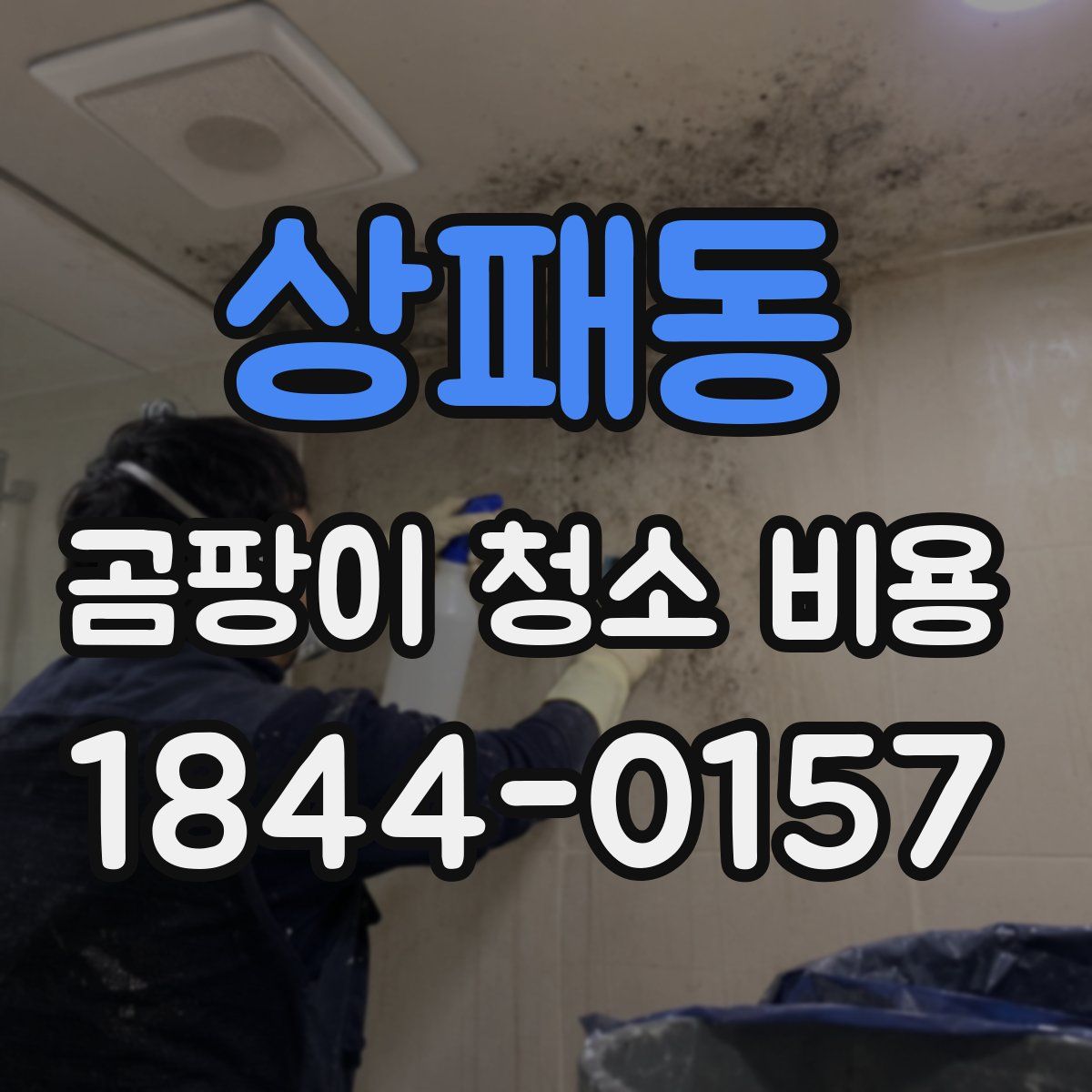 상패동 곰팡이 청소 비용