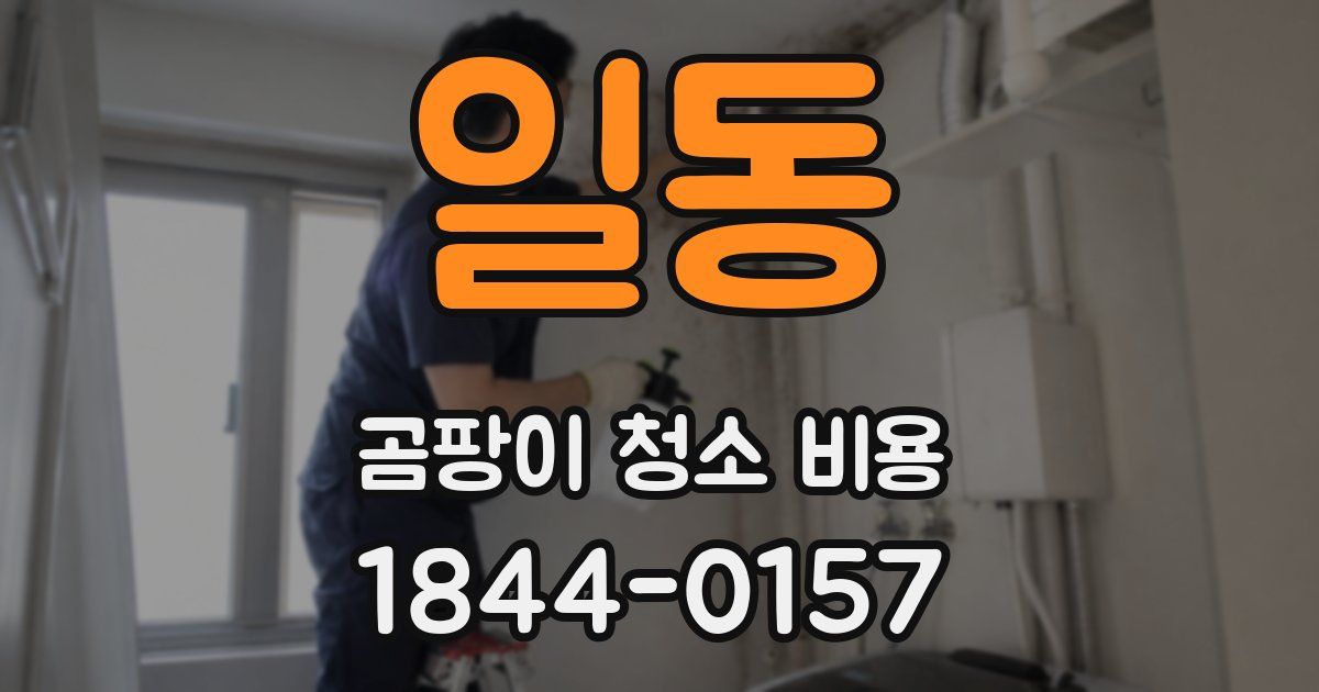 일동 곰팡이 청소 비용