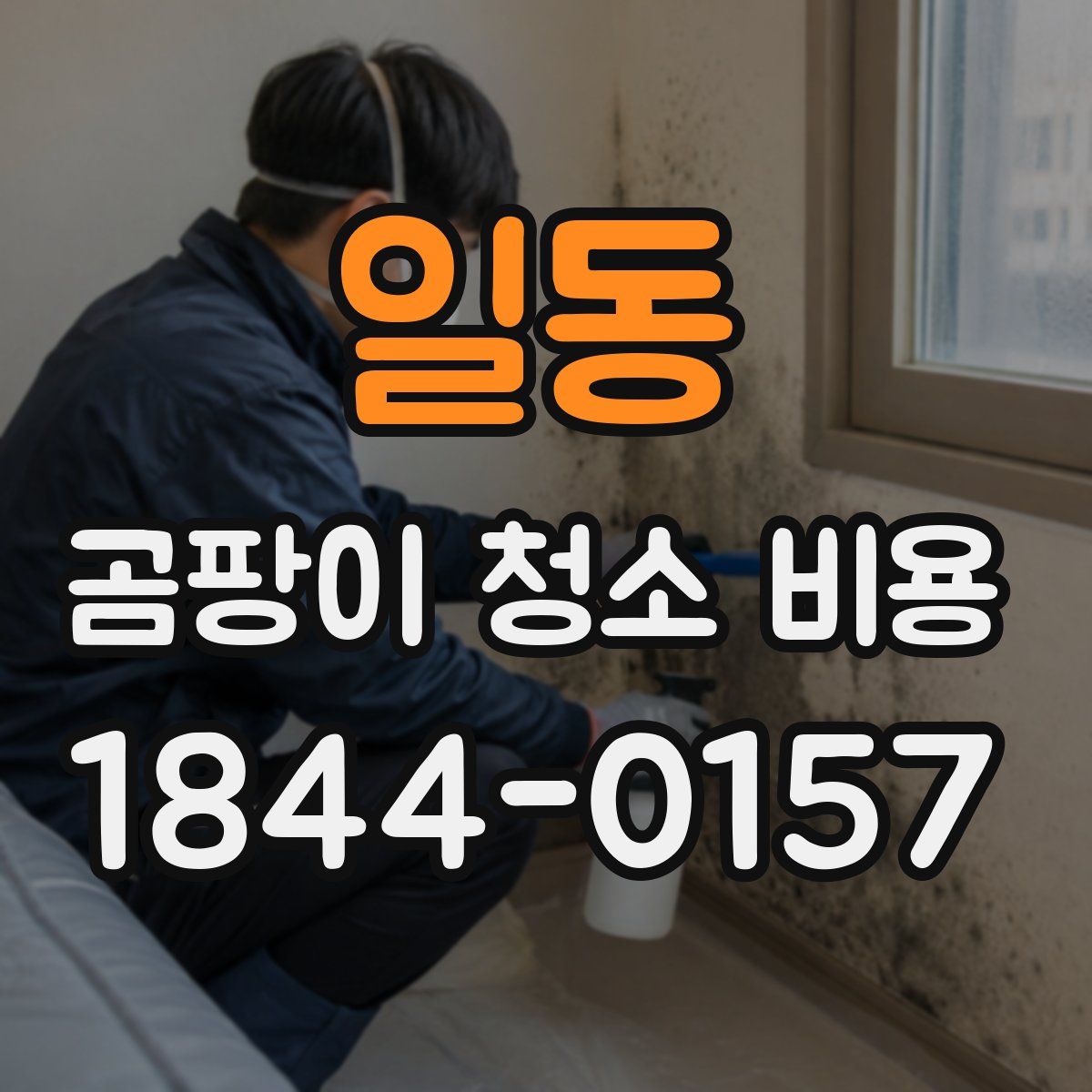 일동 곰팡이 청소 비용
