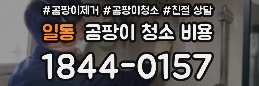 일동 곰팡이 청소 비용