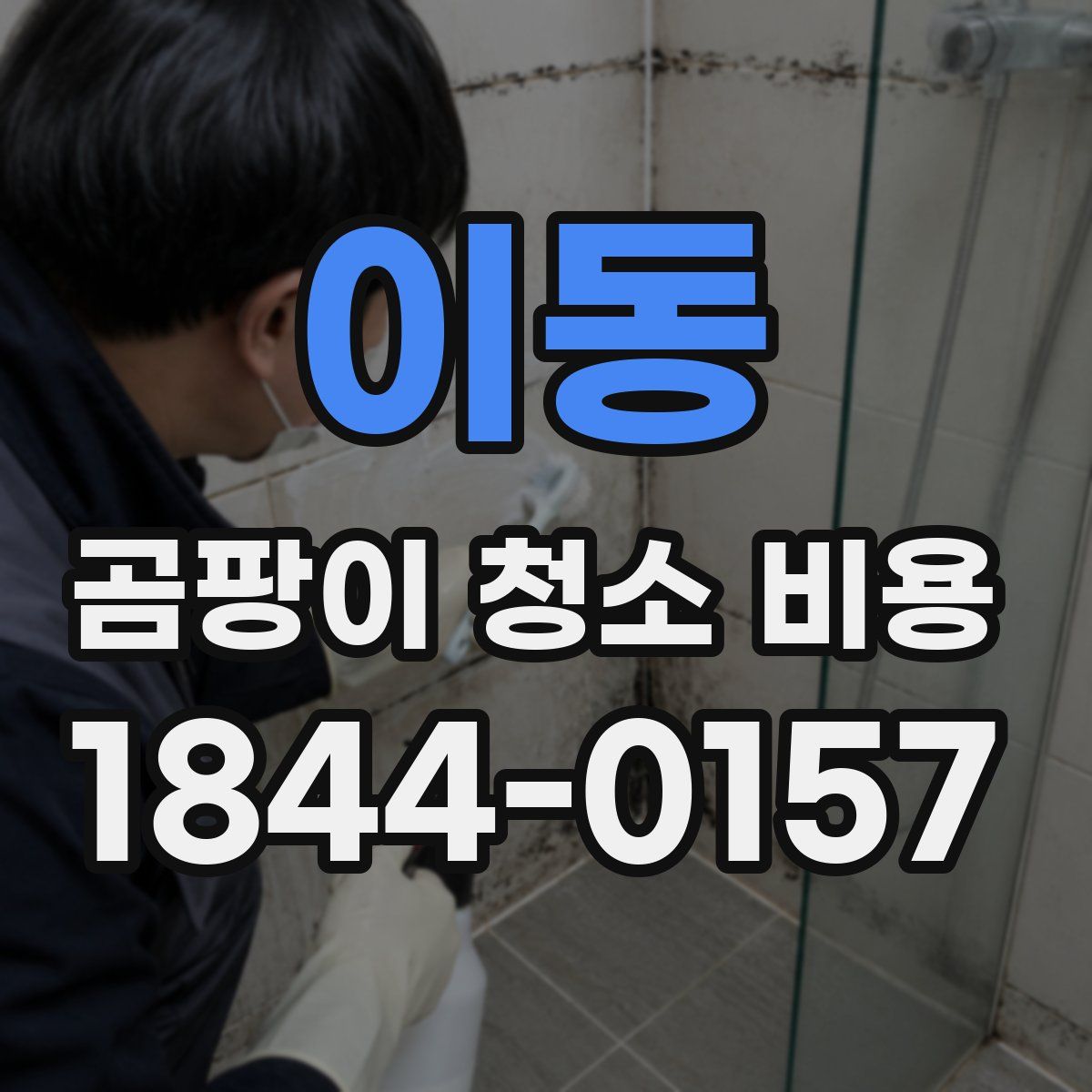 이동 곰팡이 청소 비용