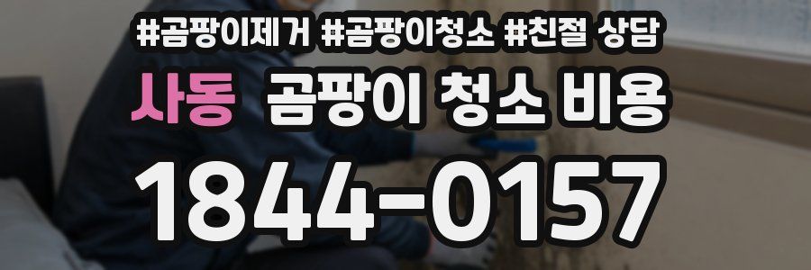 사동 곰팡이 청소 비용