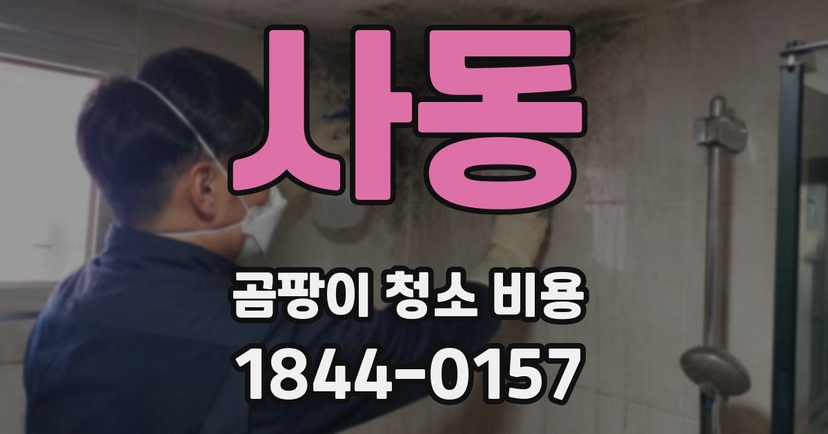 사동 곰팡이 청소 비용