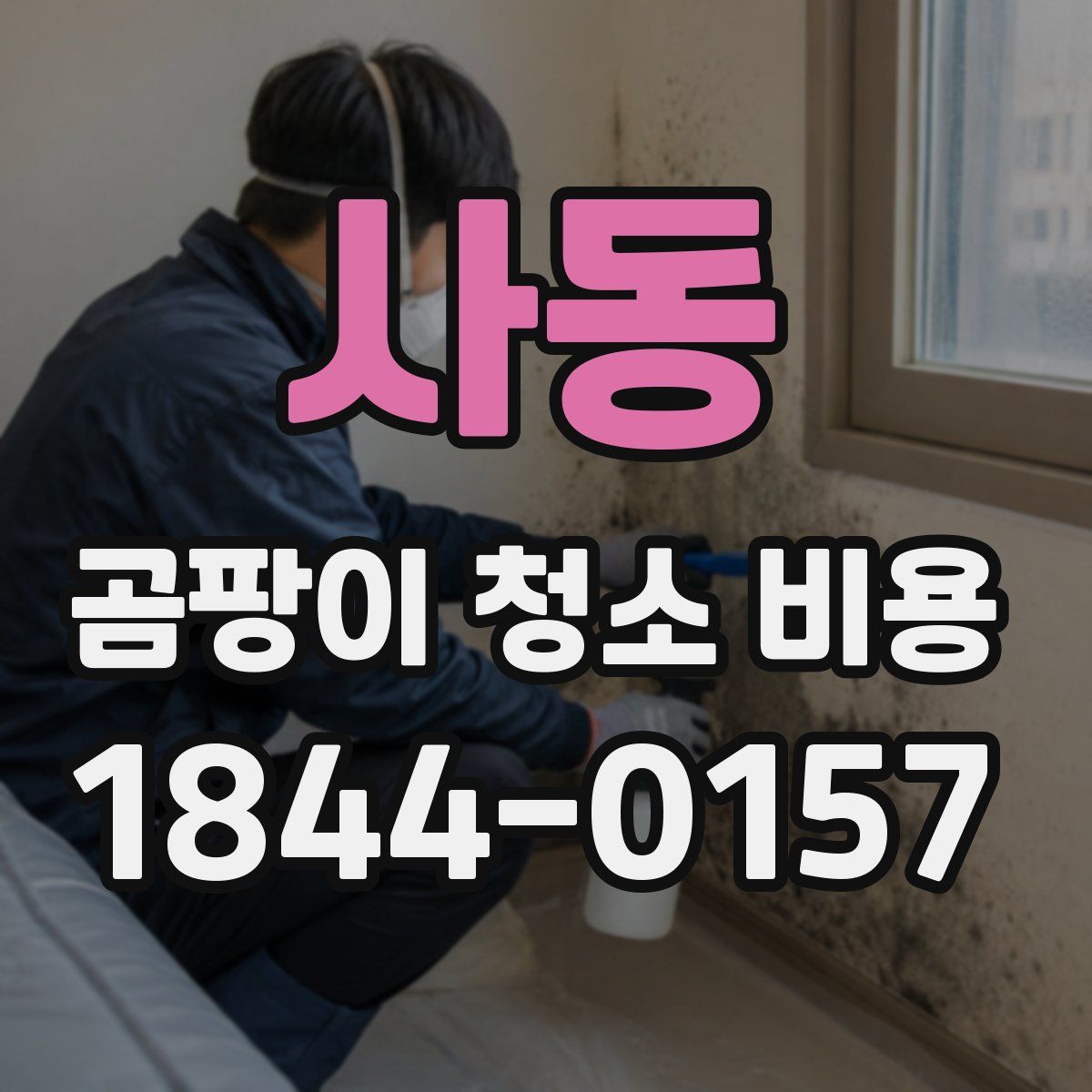 사동 곰팡이 청소 비용