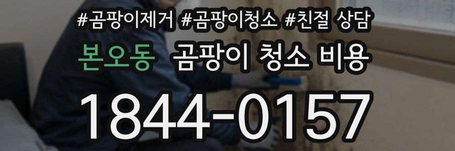 본오동 곰팡이 청소 비용