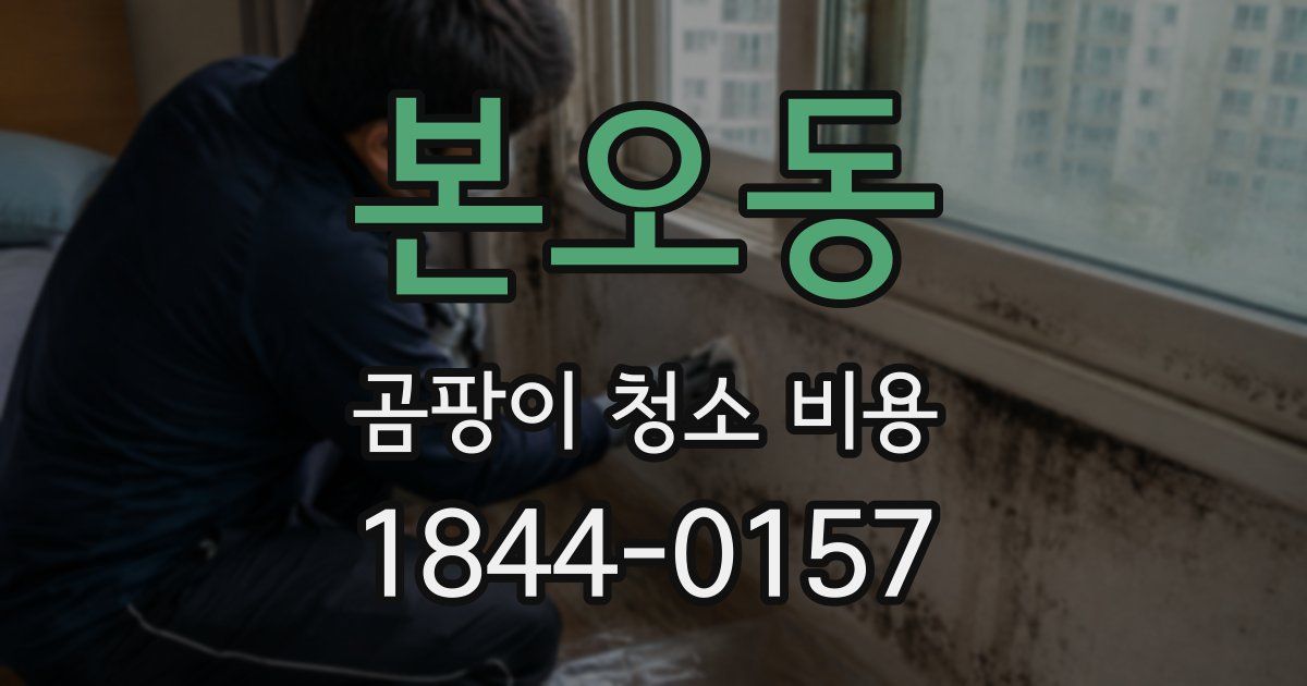 본오동 곰팡이 청소 비용