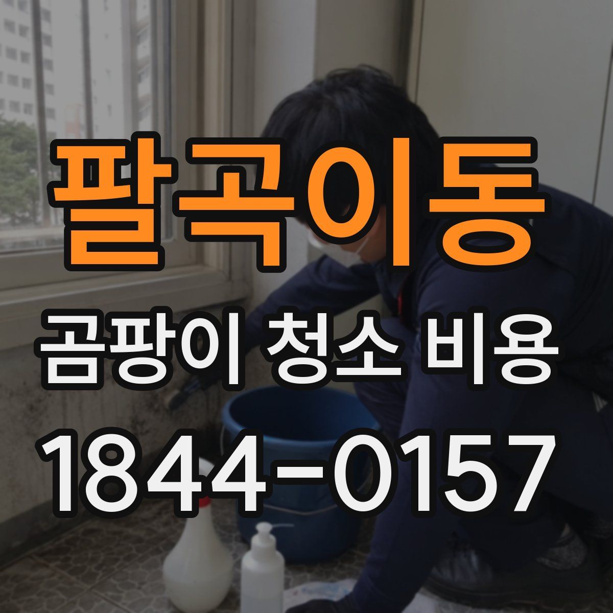 팔곡이동 곰팡이 청소 비용