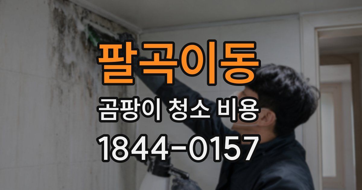 팔곡이동 곰팡이 청소 비용