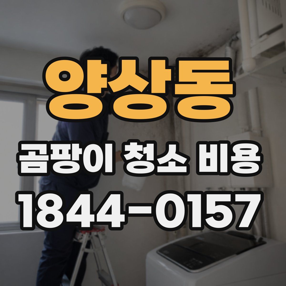 양상동 곰팡이 청소 비용