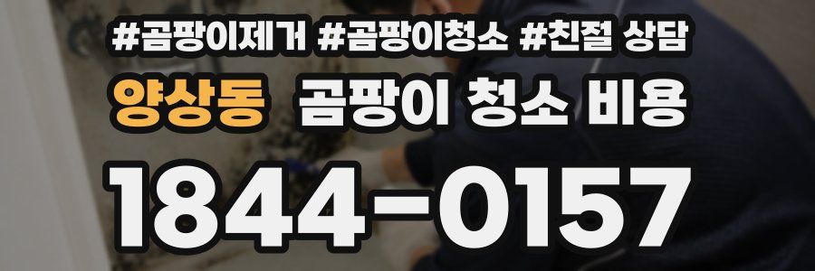 양상동 곰팡이 청소 비용