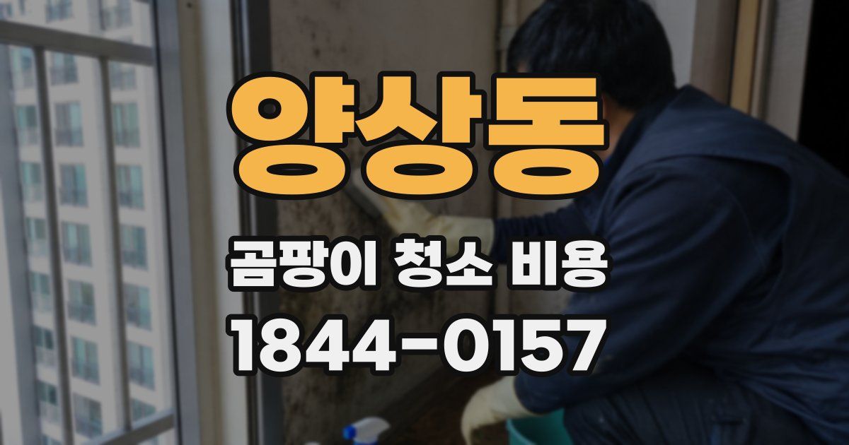 양상동 곰팡이 청소 비용