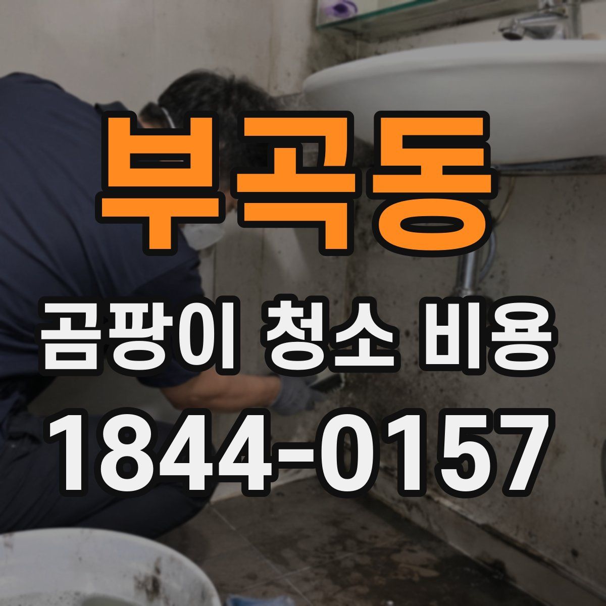 부곡동 곰팡이 청소 비용