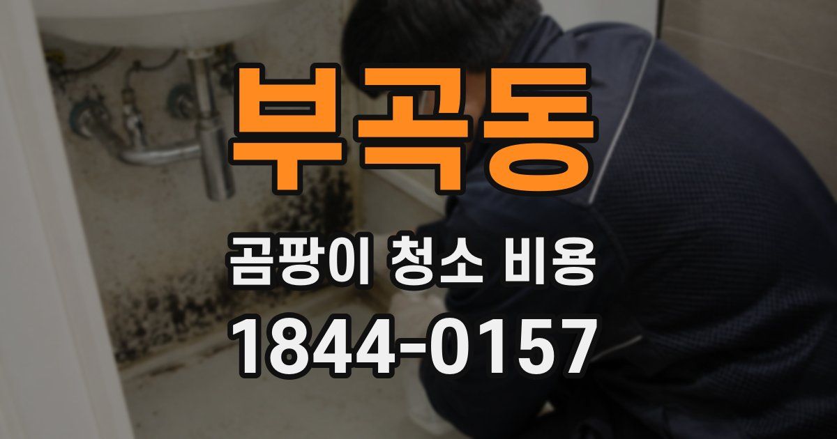 부곡동 곰팡이 청소 비용