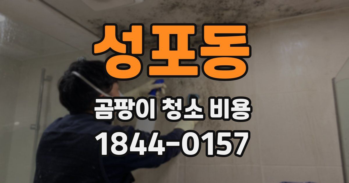 성포동 곰팡이 청소 비용