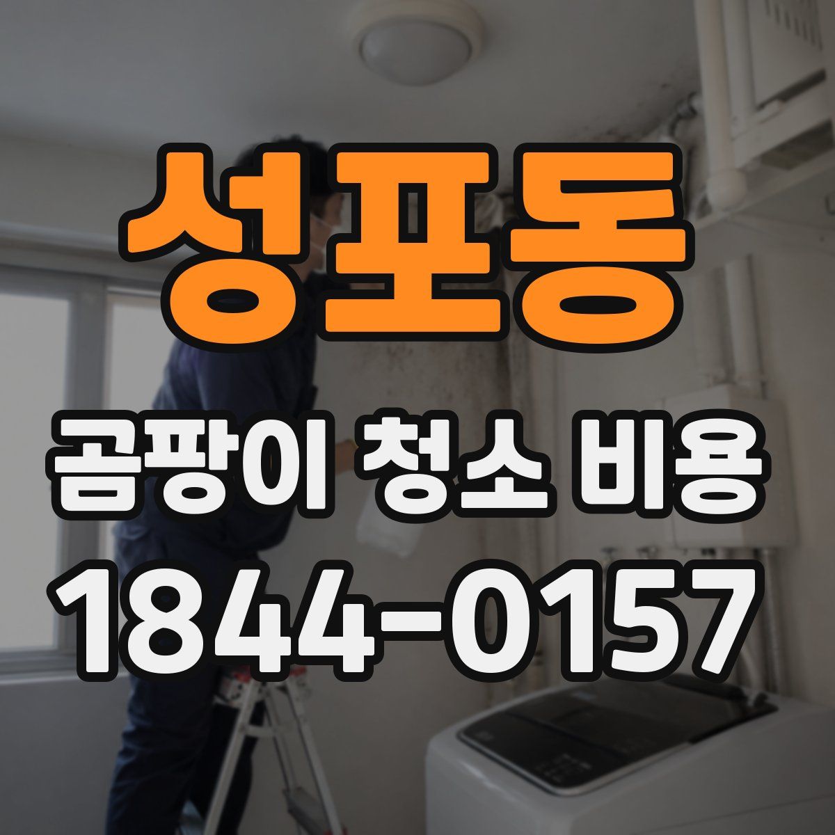 성포동 곰팡이 청소 비용