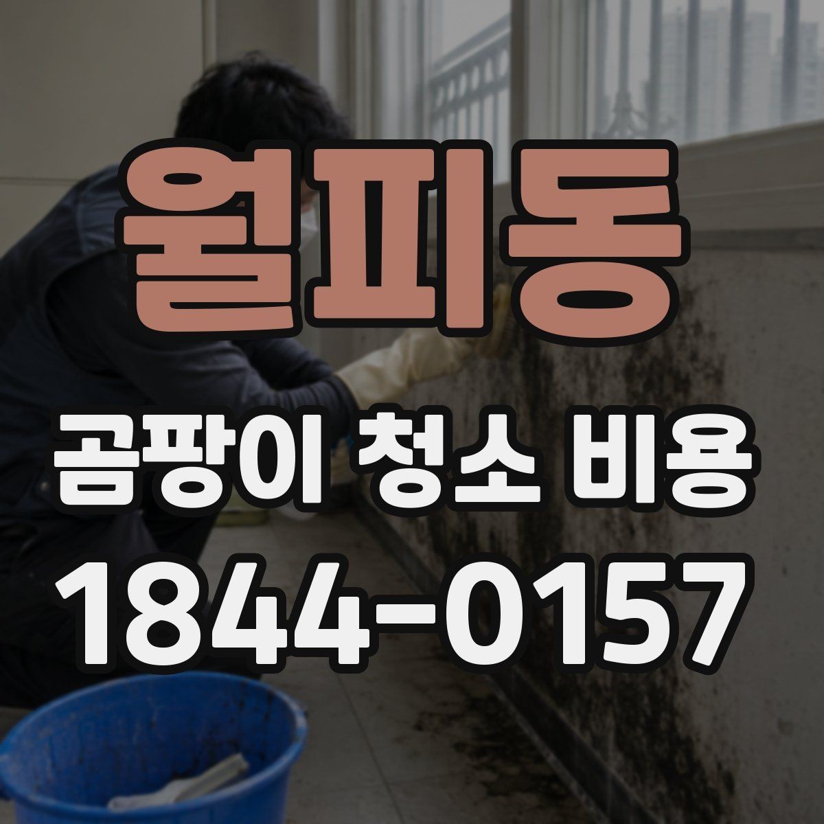 월피동 곰팡이 청소 비용 산출에 영향을 주는 오염 원인