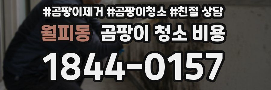 월피동 곰팡이 청소 비용