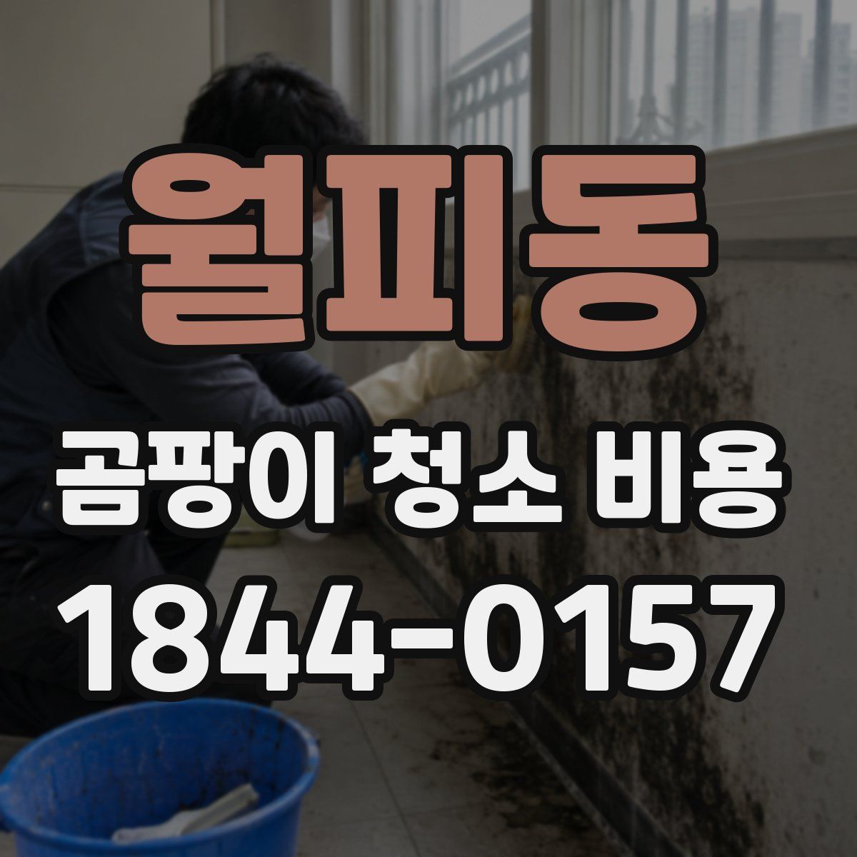 월피동 곰팡이 청소 비용