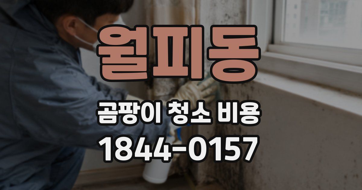 월피동 곰팡이 청소 비용