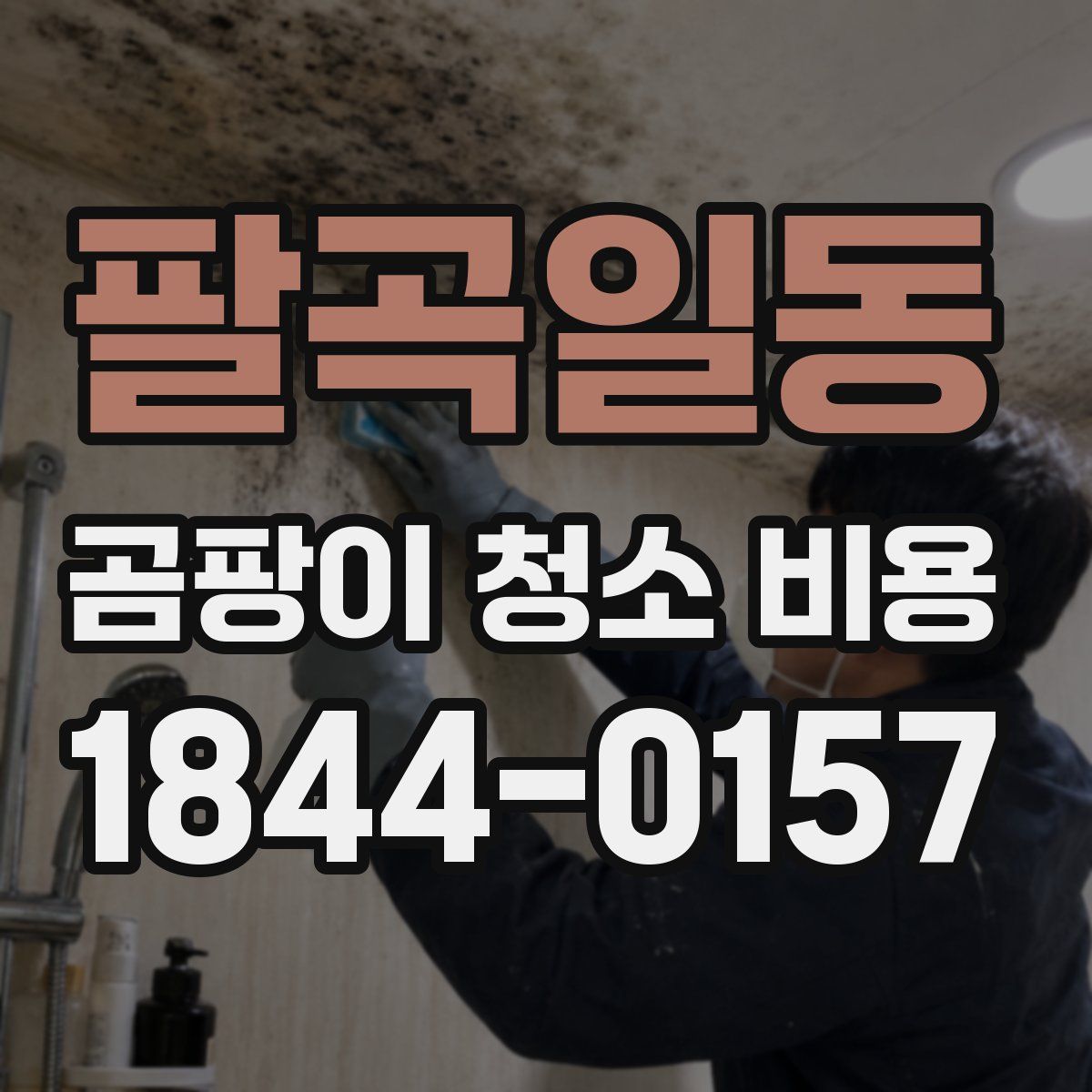 팔곡일동 곰팡이 청소 비용