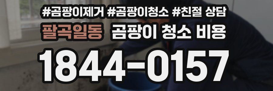 팔곡일동 곰팡이 청소 비용