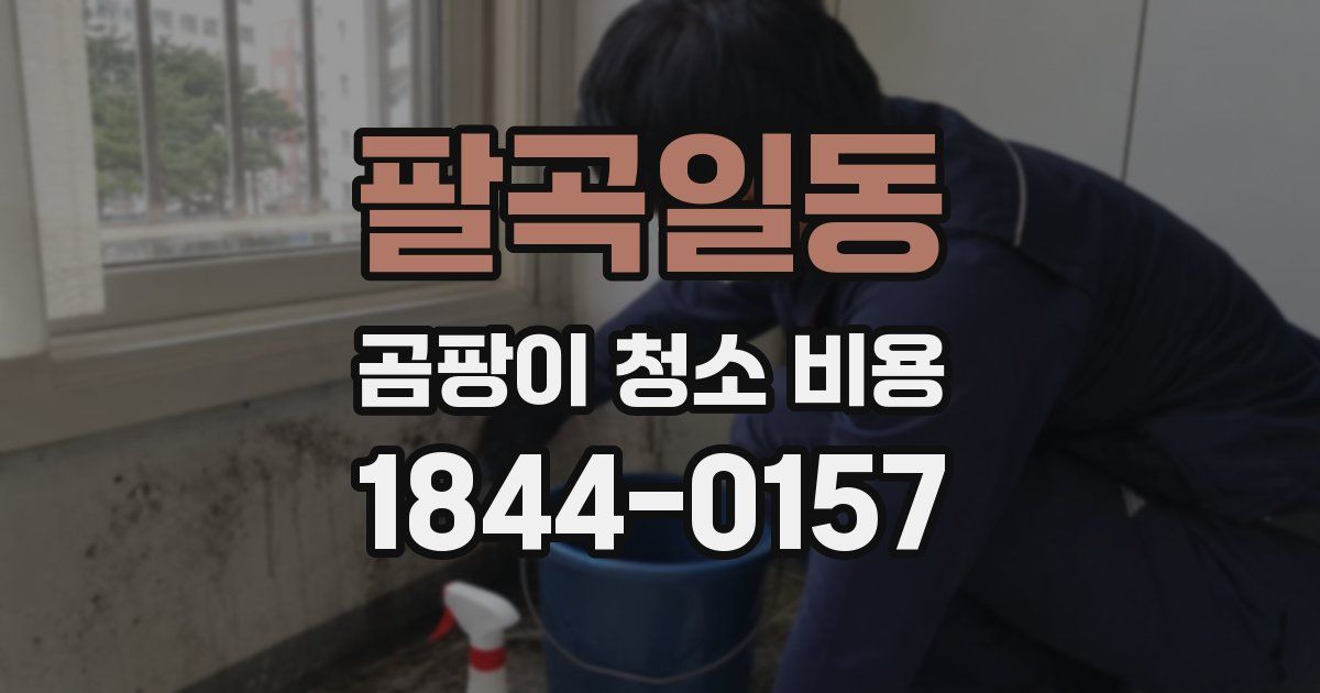 팔곡일동 곰팡이 청소 비용