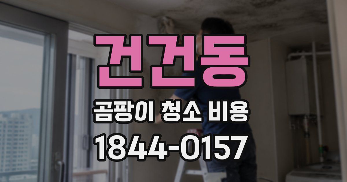 건건동 곰팡이 청소 비용
