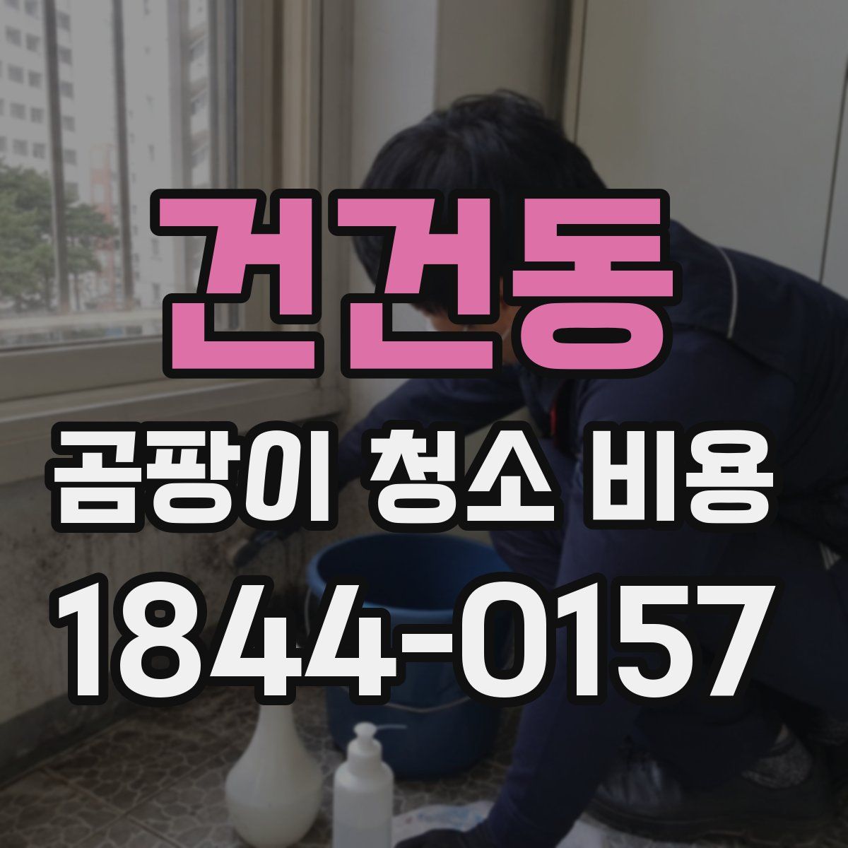 건건동 곰팡이 청소 비용