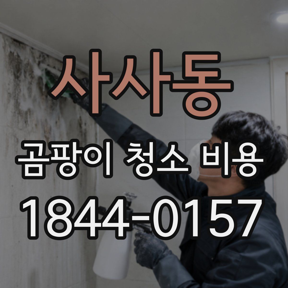 사사동 곰팡이 청소 비용