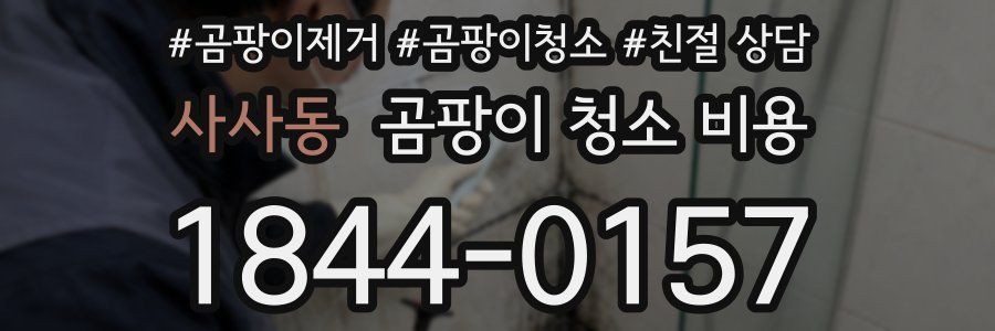 사사동 곰팡이 청소 비용