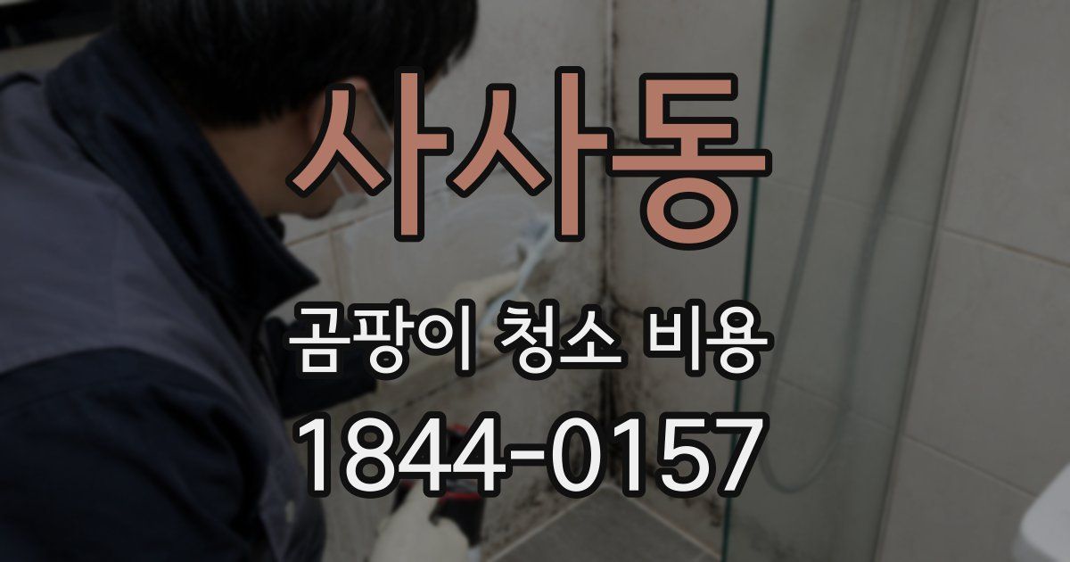 사사동 곰팡이 청소 비용