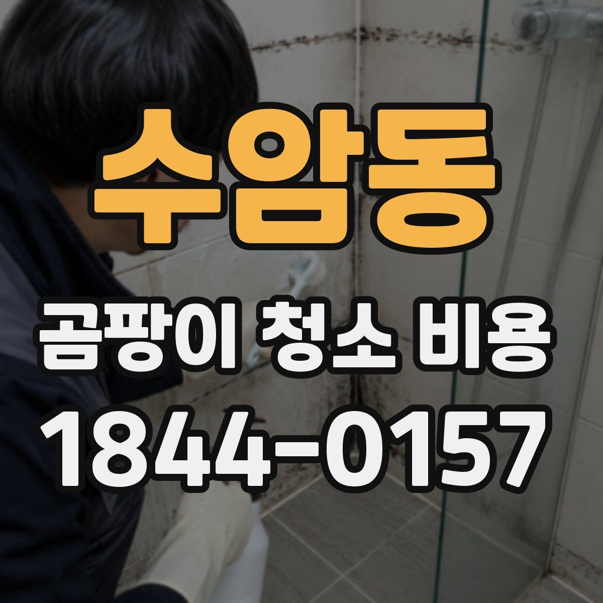 수암동 곰팡이 청소 비용